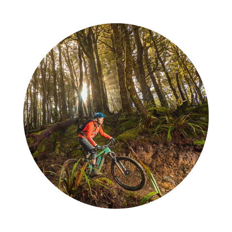 Paparoa Track