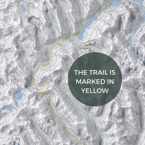 Milford Track Poster