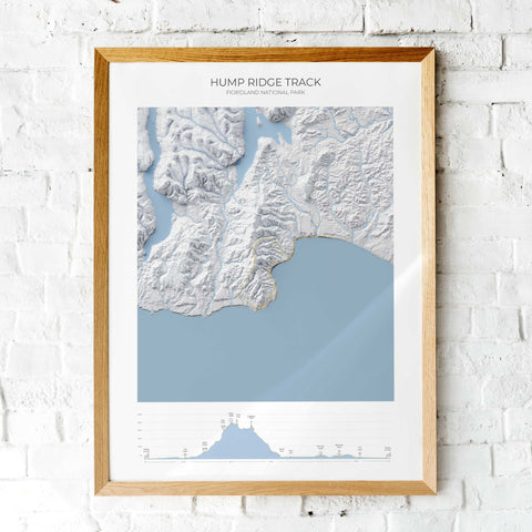 Hump Ridge Track Poster