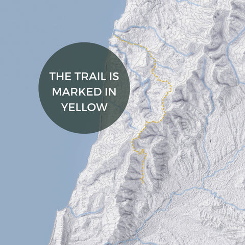 Paparoa Track Poster