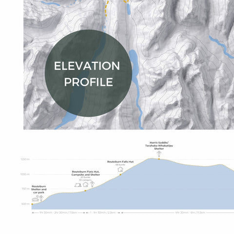 Routeburn Track Poster