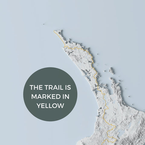 Te Araroa Trail Poster